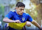 开云-阿根廷豪门博卡青年登顶南美洲冠军联赛的简单介绍