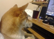 开云体育登录-沙漠之夜，当仙人掌开出枪膛的花—记美加墨世界杯之夜的贝恩爆发