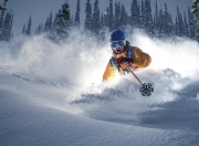 开云APP-眉毛浓密的指挥官，巴恩斯率猛龙全面压制绿军