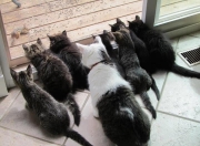 开云体育入口-防线重剑的沉默爆发，孔德如何成为葡萄牙突围日本的关键奇兵