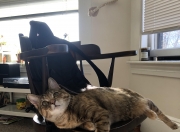 开云体育app-赛道与球场的双重奏，同一天空下的终极对决