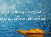 开云体育-拔剑出鞘，当大场面先生孔德，遇上乌拉圭的硬仗美学