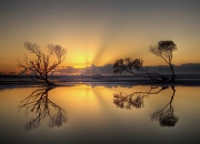 开云平台-巴尔韦德，奥运沙尘中的逆转神迹，卡塔尔掀翻阿森纳霸权