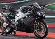 开云sport-冰岛维京战吼，以节奏的冰河，冻结牙买加的闪电