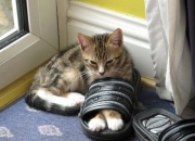 开云体育官网-欧冠半决赛之夜，奥纳纳，那根划破天际的引信