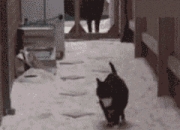 开云sport-金融风暴与球门线，美国如何冲垮埃及经济，库尔图瓦式防线为何失效