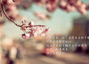 开云体育入口-废墟之上，他重铸王座，布鲁诺压力下的光芒绽放