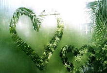 开云官网-瞬间主宰，杰伦·格林的国王时刻