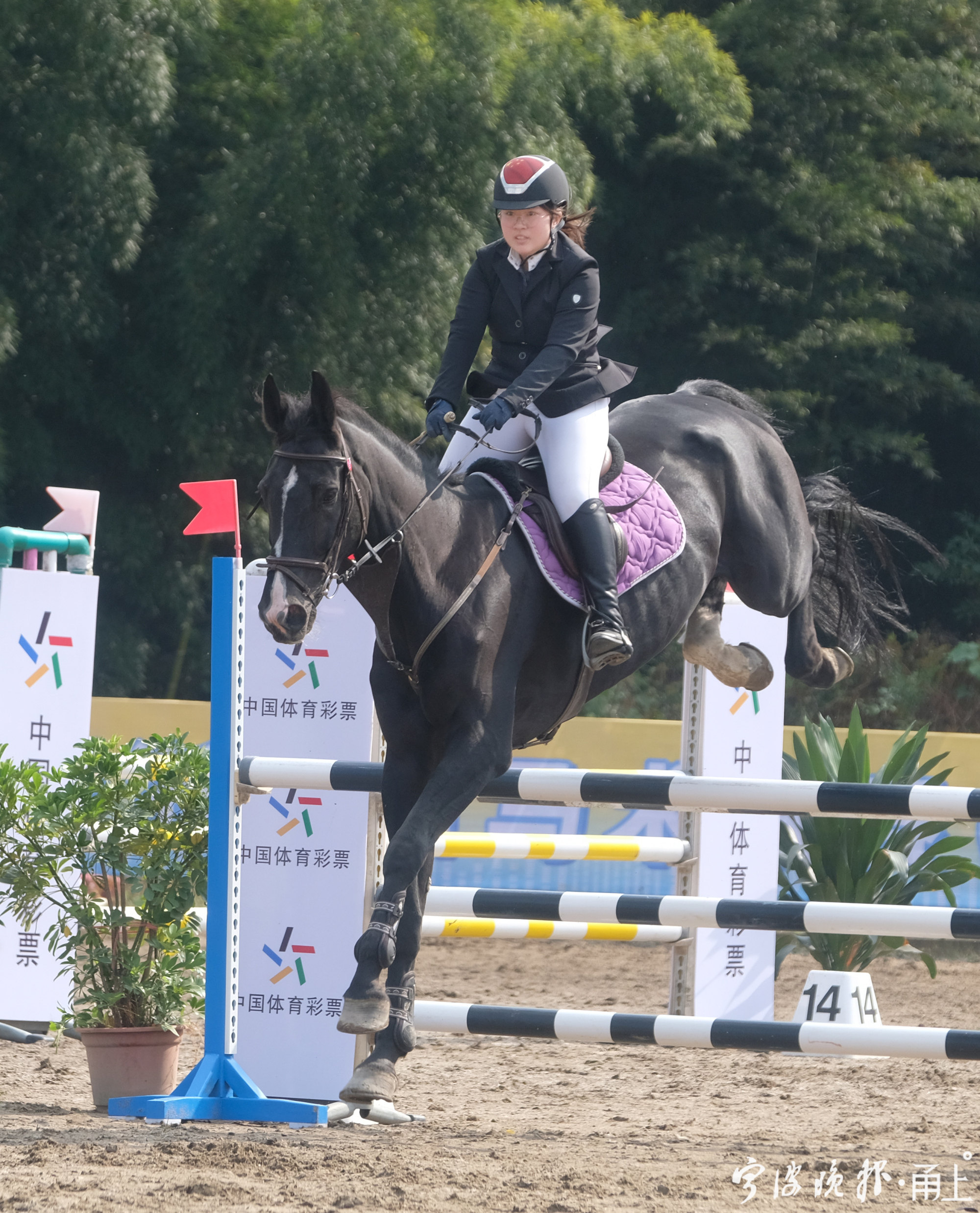 阿联酋马术选手稳中有变,夺取银牌 阿联酋马术选手稳中有变,夺取银牌