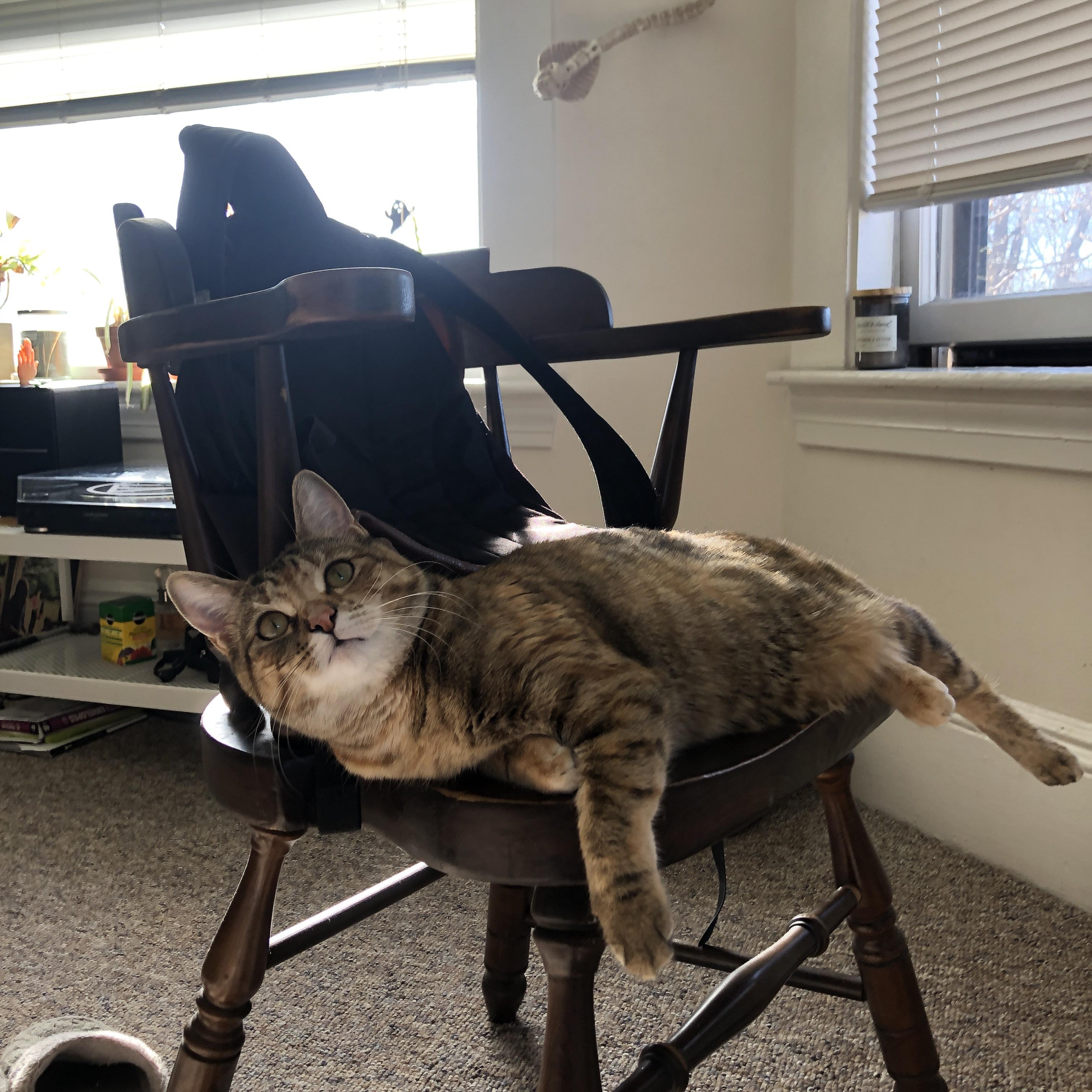 足篮巅峰！时空错位的对决，广厦队篮球规则下45分狂胜森林狼