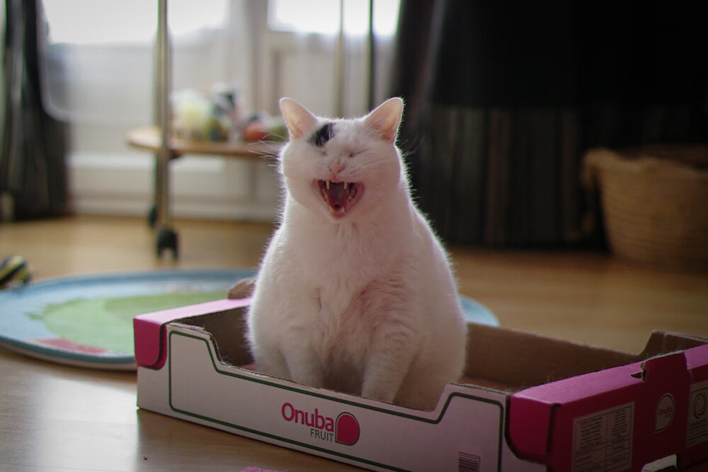 绿茵双面镜，几内亚逆袭曼城之夜与内马尔不朽的足迹