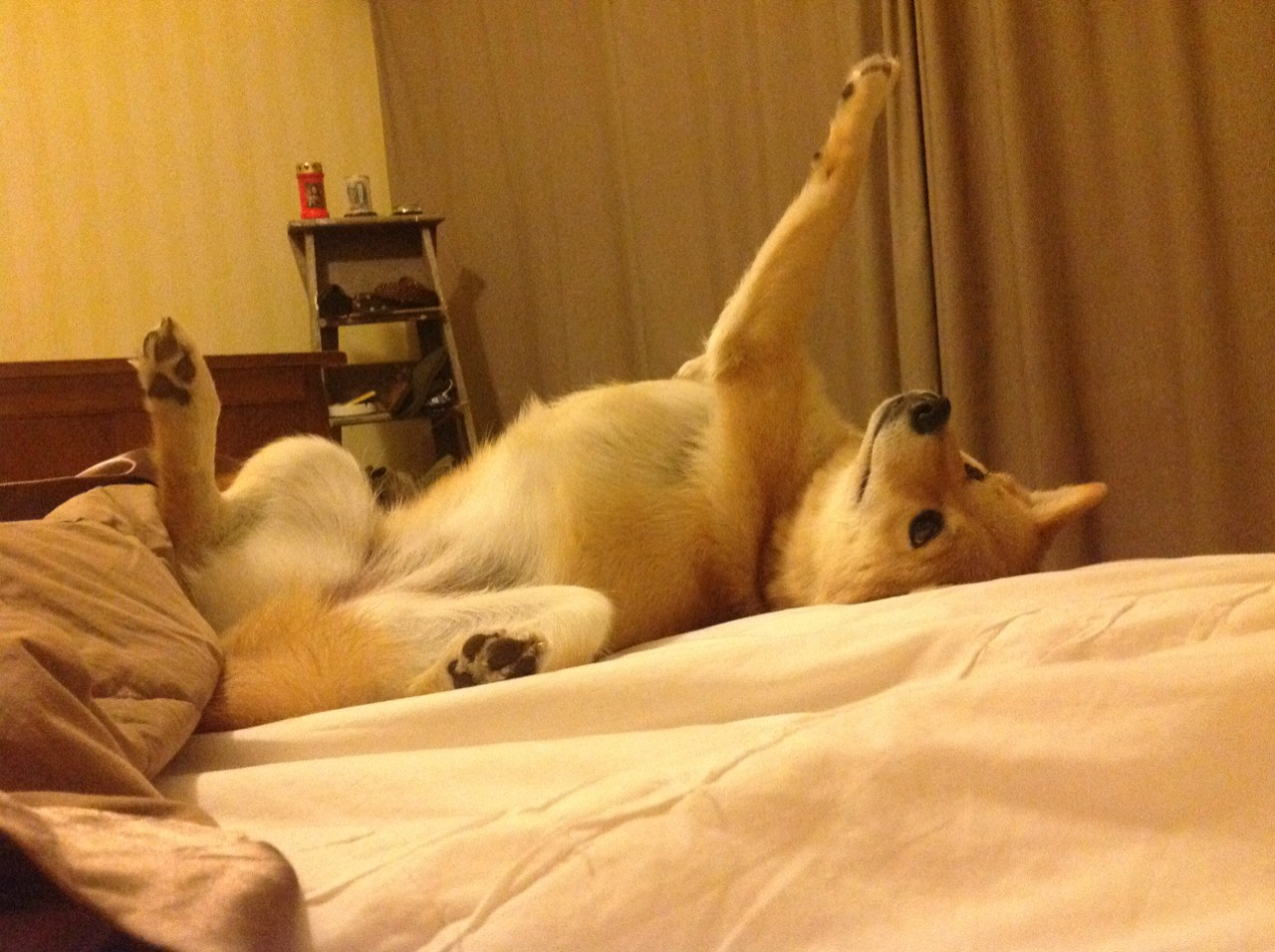 当贝林厄姆式的个体闪电，劈进塞维利亚式的体系荆棘丛