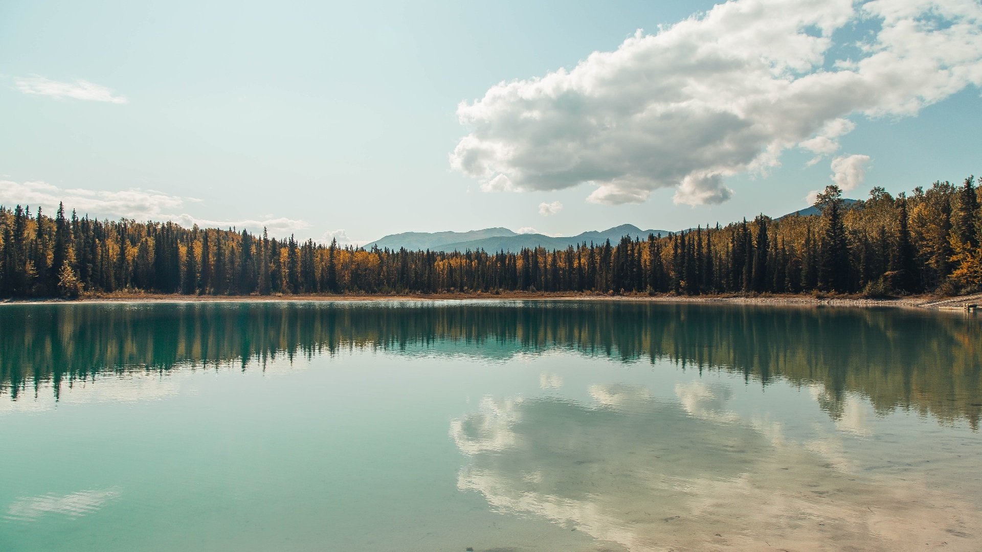 跨界风暴，当狼爪撕裂长城，篮球魂征服诺坎普