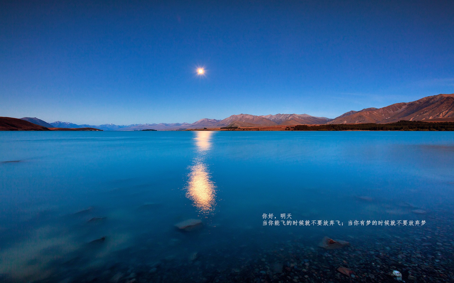 强行终结与接管之夜，当北京队扼杀热火，范弗利特统治世界战场