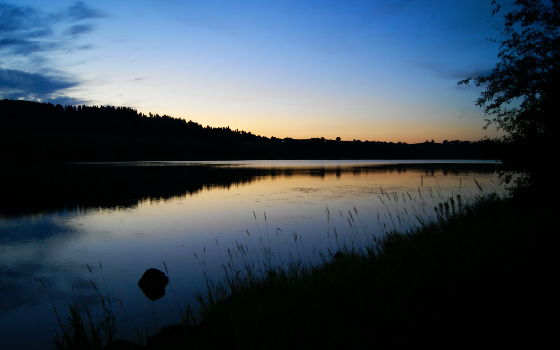 致命一击！卡拉斯科补时绝杀，AC米兰惊险逆转里昂