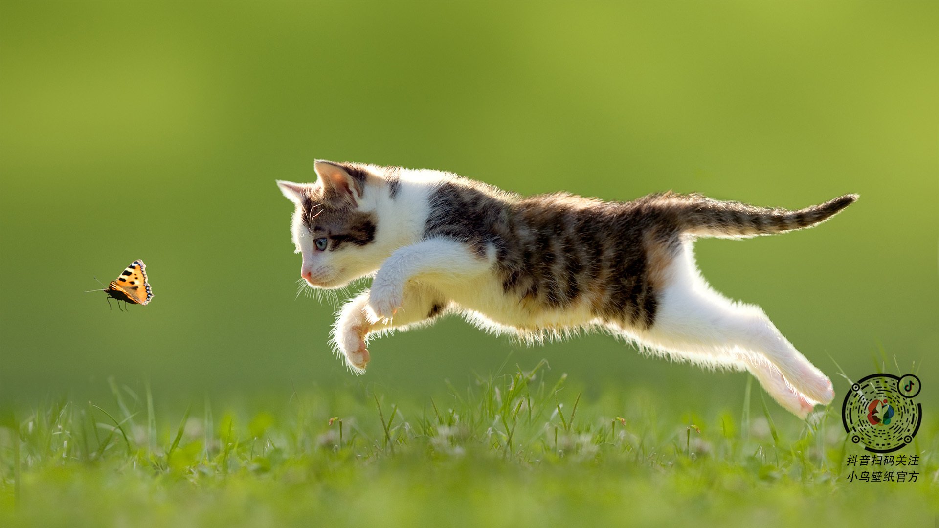 哥伦比亚跨越整片球场拿下法国，楚阿梅尼的进攻觉醒颠覆剧本，攻防双子星陨落