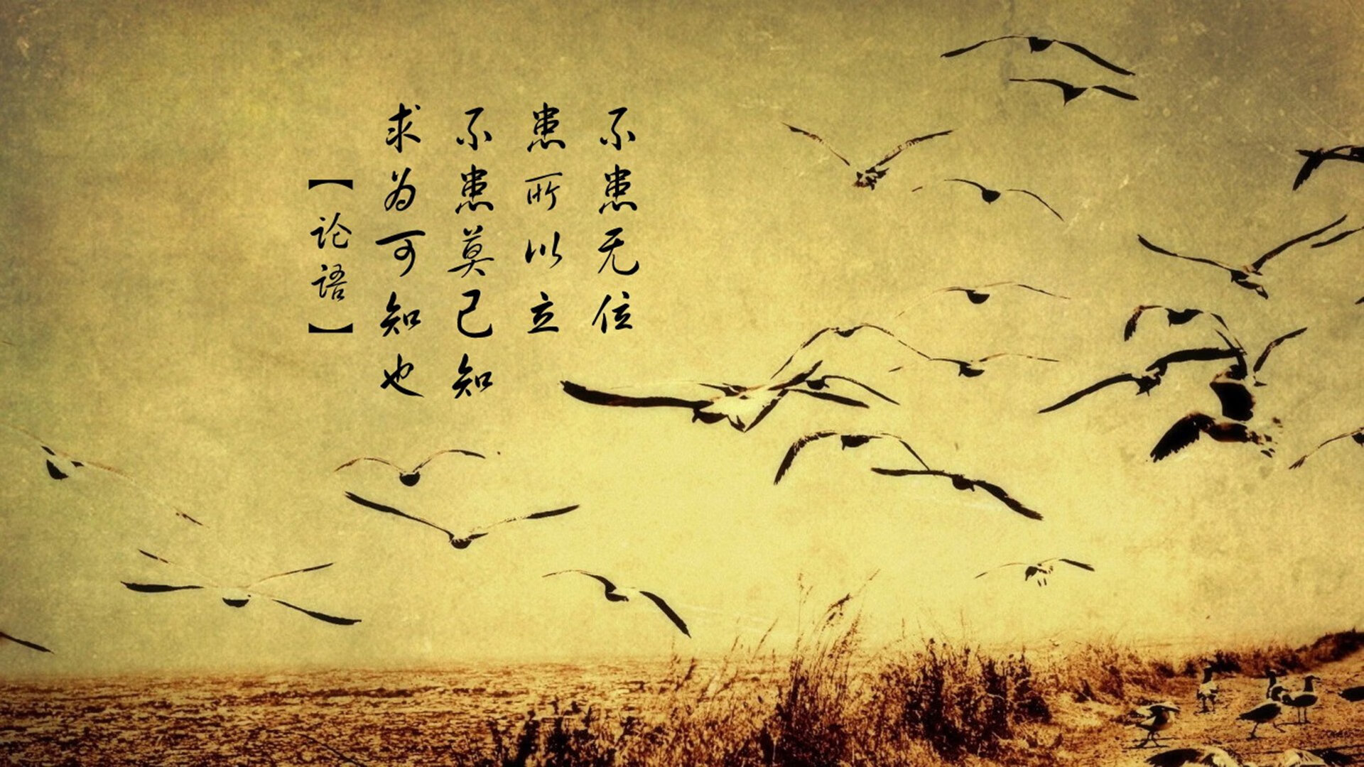 轰鸣与回响，当赛道极速遇上进攻艺术，唯一性在此刻绽放