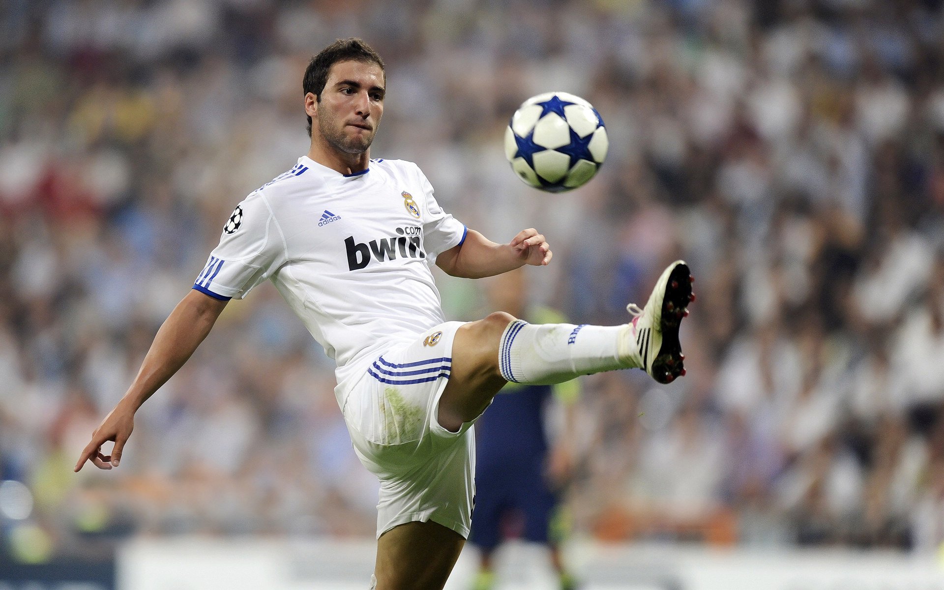 您提到的尼克斯和老鹰更常出现在NBA赛场。不过，若要将它们完美融入欧冠足球的语境，需要一些巧思。这里为您构思了一篇结合了足球激情与关键词独特寓意的文章