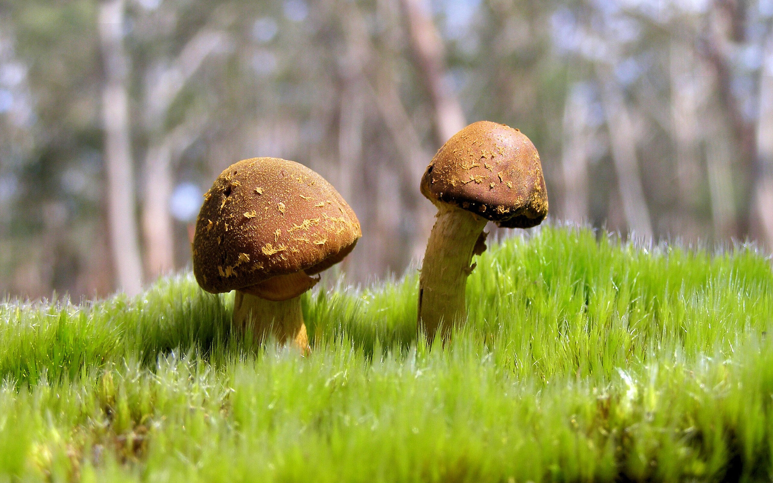 疆网对决，浓眉内线持续制造杀伤，篮网跨洋击败新疆队