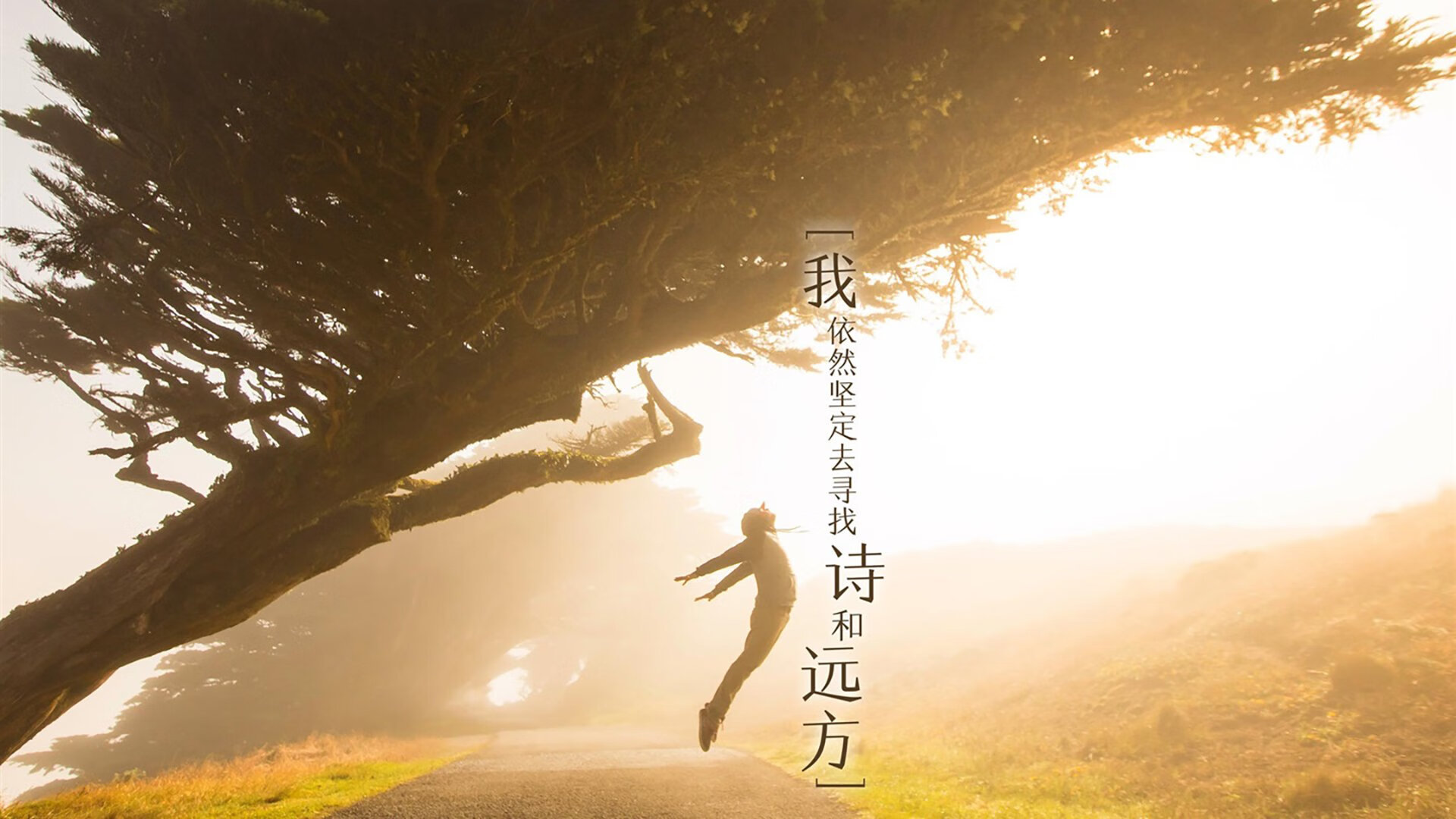 防守悍将哈登现？上海队锁死广厦闪耀全场，意外大胜引发热议