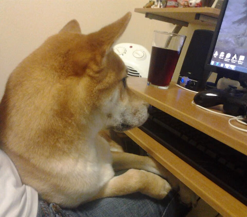 沙漠之夜，当仙人掌开出枪膛的花—记美加墨世界杯之夜的贝恩爆发