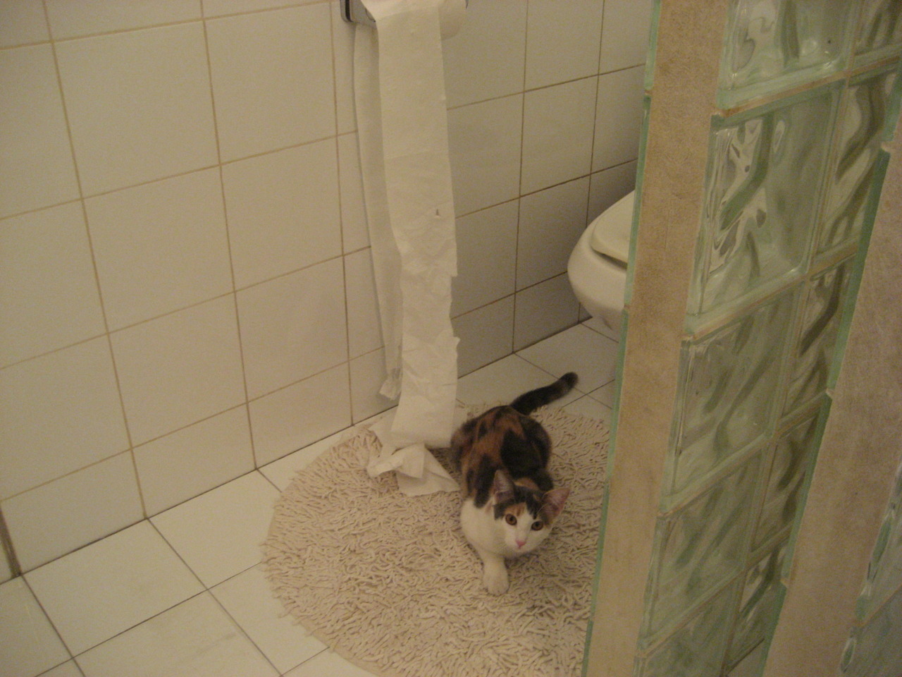 跨越时空的对决，雷恩新星闪耀，提前上演的美加墨世界杯焦点预演