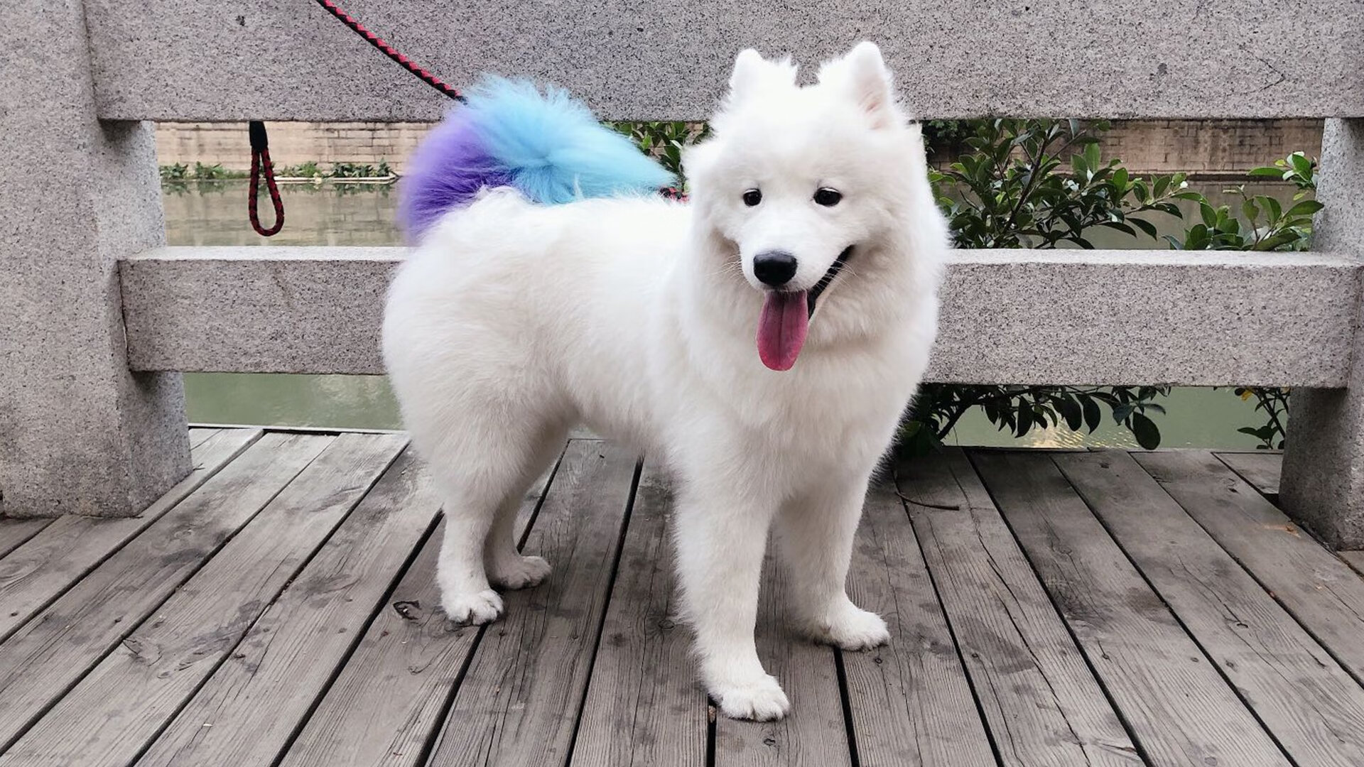 美加墨的德国战车，当国家队完胜俱乐部，世界杯前夜的黄黑基因革命