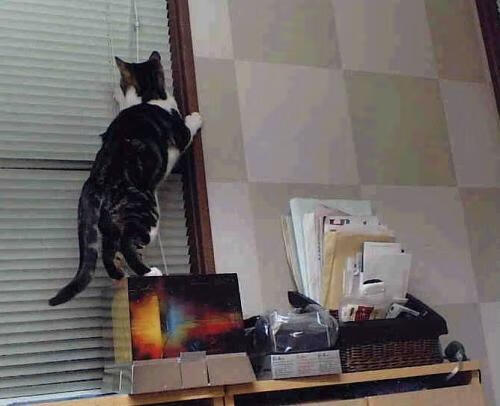 王牌与王牌的对决，尼克斯的绞杀术与米切尔的冰与火之歌