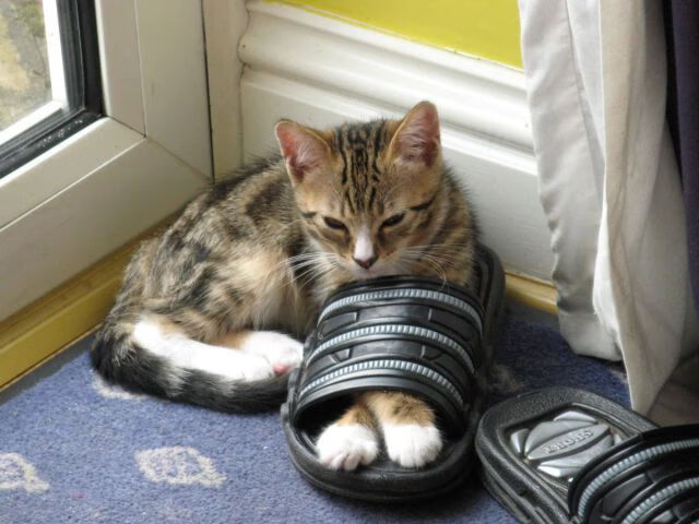 欧冠半决赛之夜，奥纳纳，那根划破天际的引信