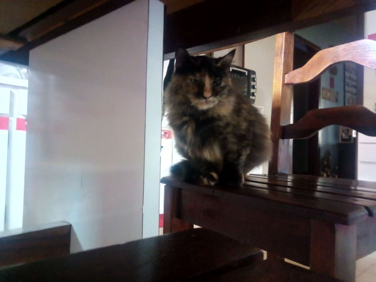 裂痕与新篇，洛杉矶的夜晚，哈登用一记三分缝合所有质疑