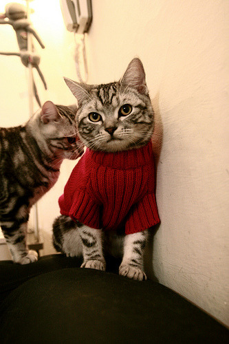 奥斯陆的数学，当雷霆与文班亚马在历史转角计算胜利