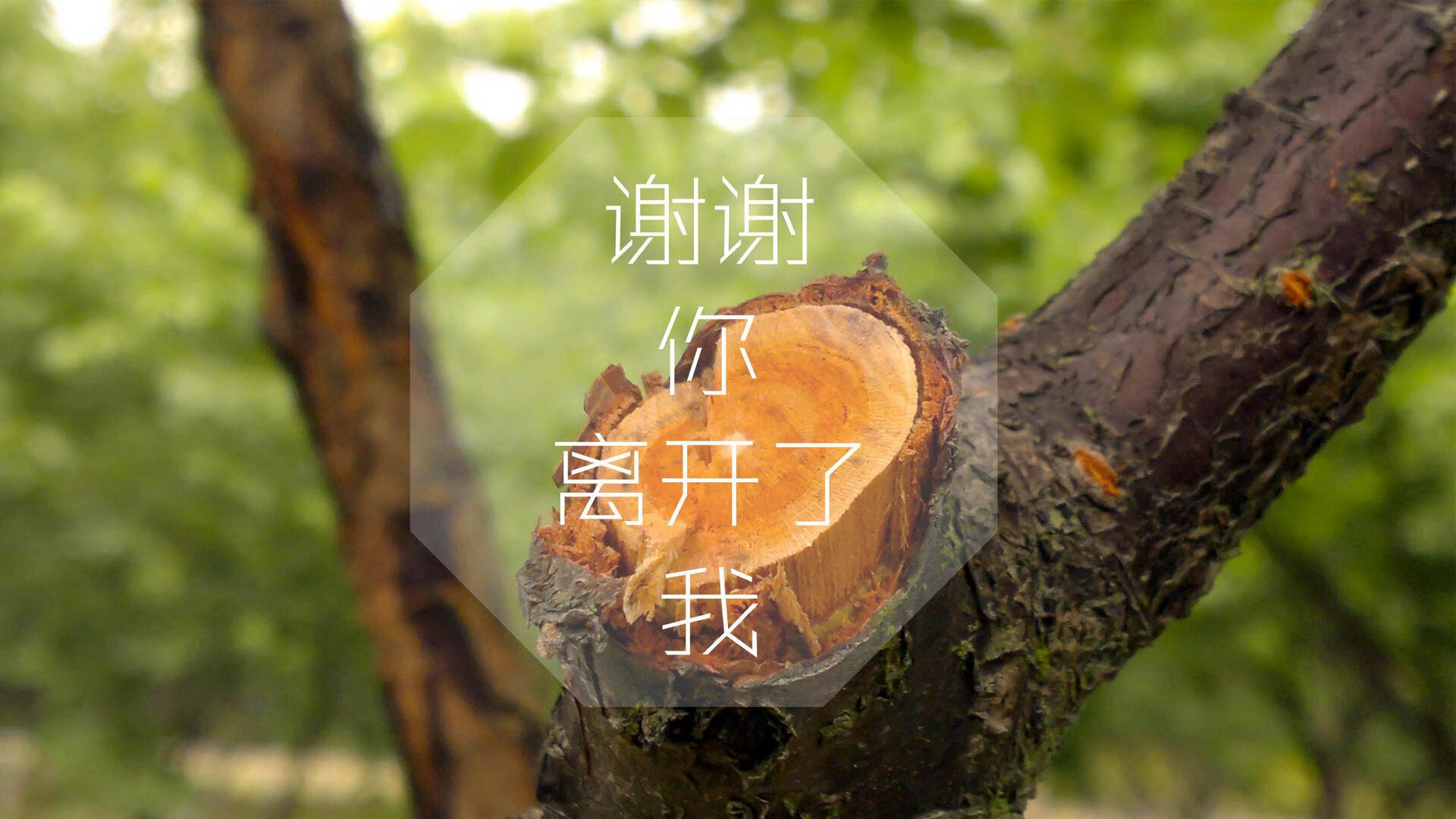 下面是我的创作