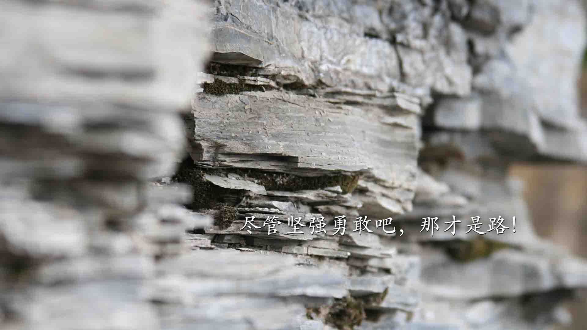 蓝黄风暴席卷沙漠，德容调度下的厄瓜多尔，用默契碾压澳大利亚，锁定A组头名