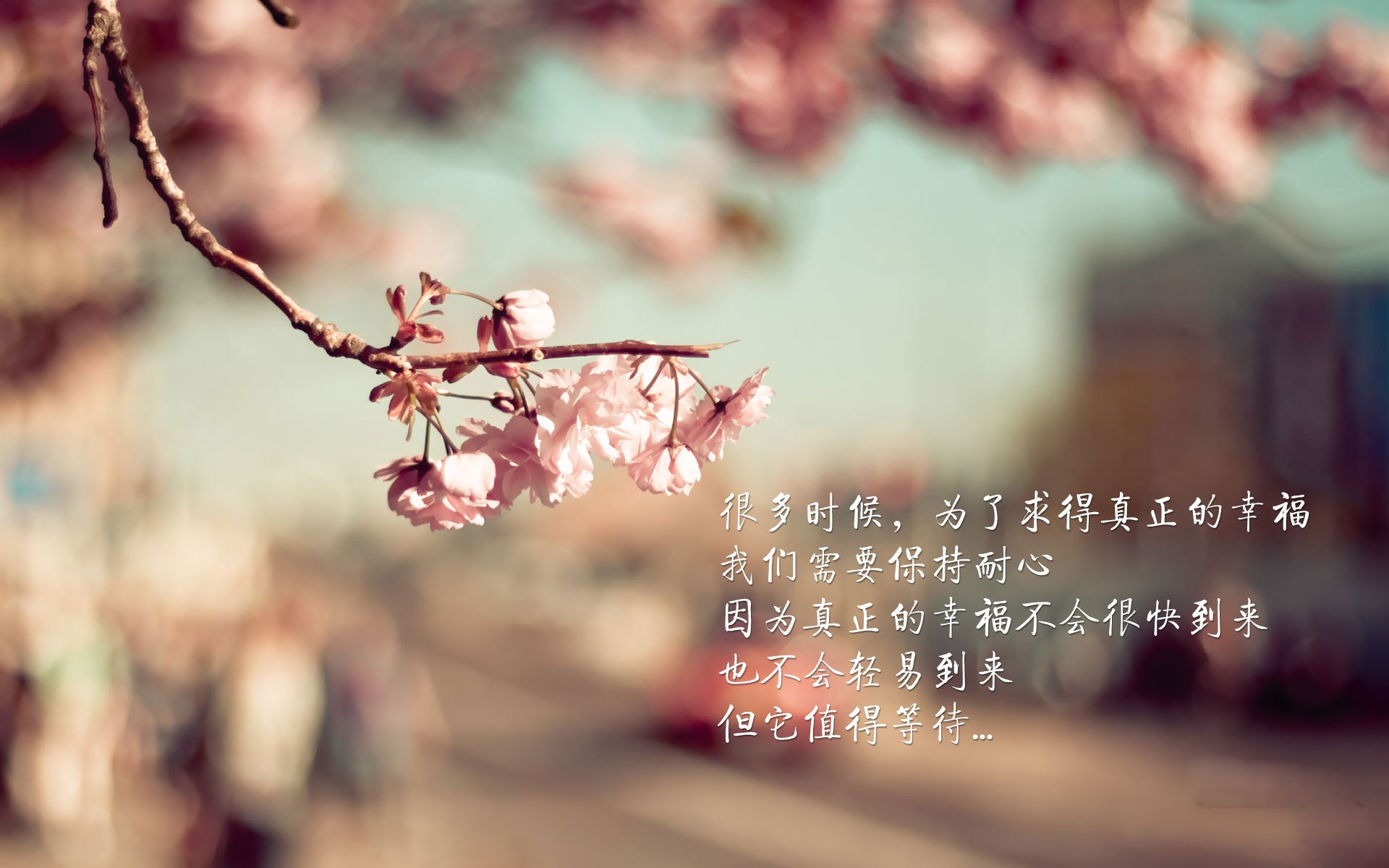 沙漠之狐的血色复仇，2026世界杯，卡塔尔绝杀日本，莫德里奇导演不老神话