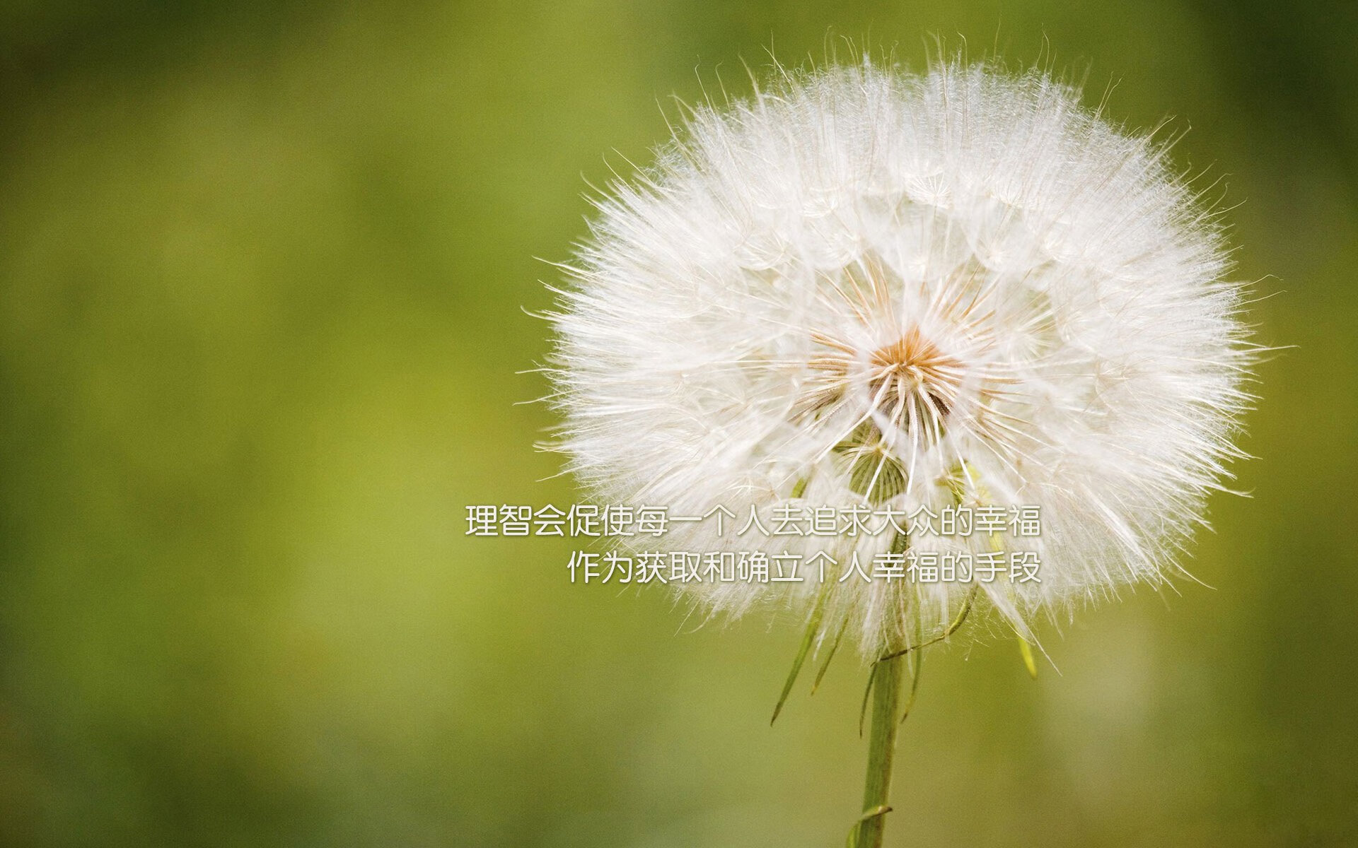 宿敌的独白，2026世界杯F组焦点战，美国横扫加拿大，福登的魔术时刻